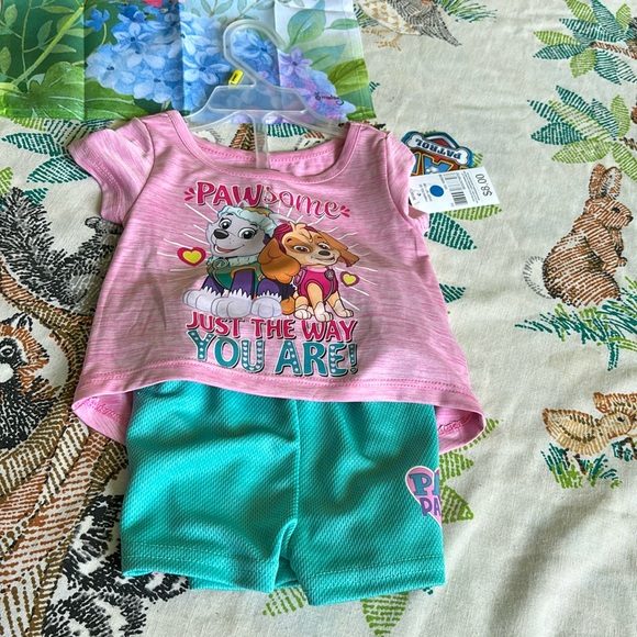 NWT Nickelodeon Paw Patrol Shorts Set Pink SS Tee Green Shorts 12M Pawsome Dogs - Picture 2 of 16